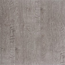 Eternity Sand Dollar