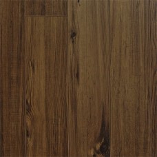 Eternity Red Ancient Pine