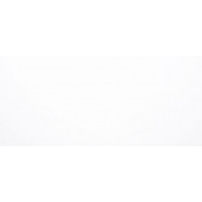 Stone Pental Quartz/ SEASHELL POLISHED JUMBO SIZE