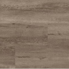 REP Martha's Vineyard Beach